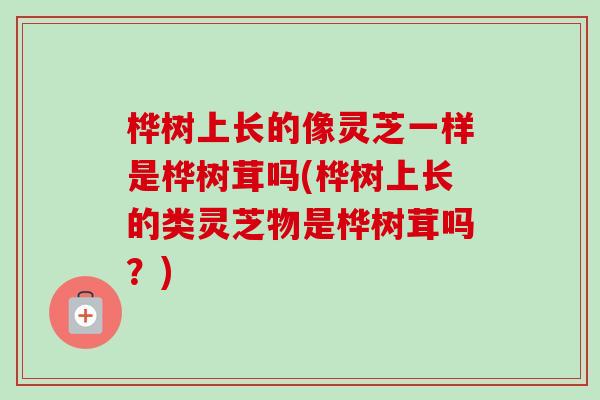 桦树上长的像灵芝一样是桦树茸吗(桦树上长的类灵芝物是桦树茸吗？)-第1张图片-卓越灵芝孢子粉