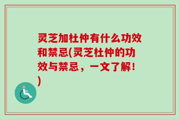 灵芝加杜仲有什么功效和禁忌(灵芝杜仲的功效与禁忌,一文了解!)-第1张图片-卓越灵芝孢子粉 灵芝加杜仲有什么功效和禁忌(灵芝杜仲的功效与禁忌,一文了解!)-第1张图片-卓越灵芝孢子粉
