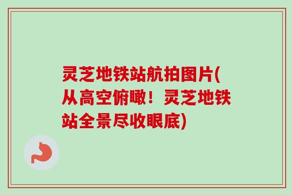 灵芝地铁站航拍图片(从高空俯瞰!灵芝地铁站全景尽收眼底)-第1张图片-卓越灵芝孢子粉 灵芝地铁站航拍图片(从高空俯瞰!灵芝地铁站全景尽收眼底)-第1张图片-卓越灵芝孢子粉