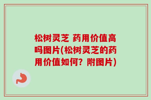 松树灵芝 药用价值高吗图片(松树灵芝的药用价值如何？附图片)-第1张图片-卓越灵芝孢子粉