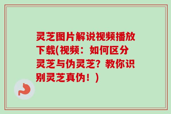 灵芝图片解说视频播放下载(视频:如何区分灵芝与伪灵芝?教你识别灵芝真伪!)-第1张图片-卓越灵芝孢子粉 灵芝图片解说视频播放下载(视频:如何区分灵芝与伪灵芝?教你识别灵芝真伪!)-第1张图片-卓越灵芝孢子粉