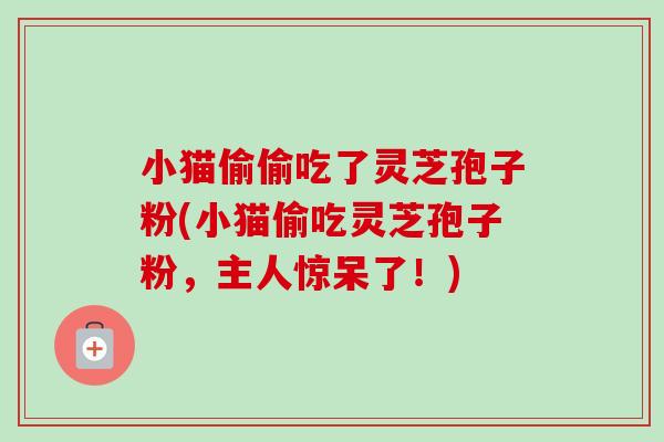 小猫偷偷吃了灵芝孢子粉(小猫偷吃灵芝孢子粉，主人惊呆了！)-第1张图片-卓越灵芝孢子粉