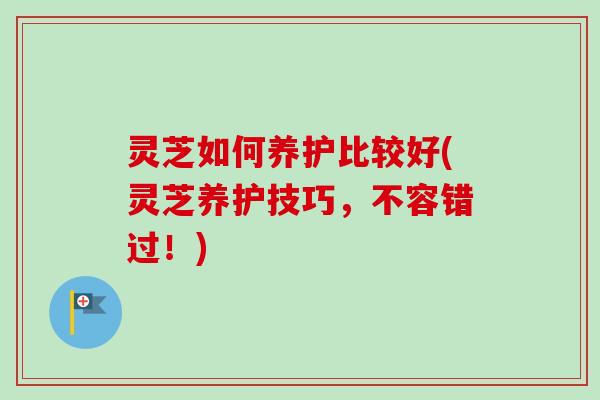 灵芝如何养护比较好(灵芝养护技巧,不容错过!)-第1张图片-卓越灵芝孢子粉 灵芝如何养护比较好(灵芝养护技巧,不容错过!)-第1张图片-卓越灵芝孢子粉