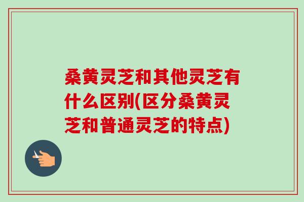 桑黄灵芝和其他灵芝有什么区别(区分桑黄灵芝和普通灵芝的特点)-第1张图片-卓越灵芝孢子粉
