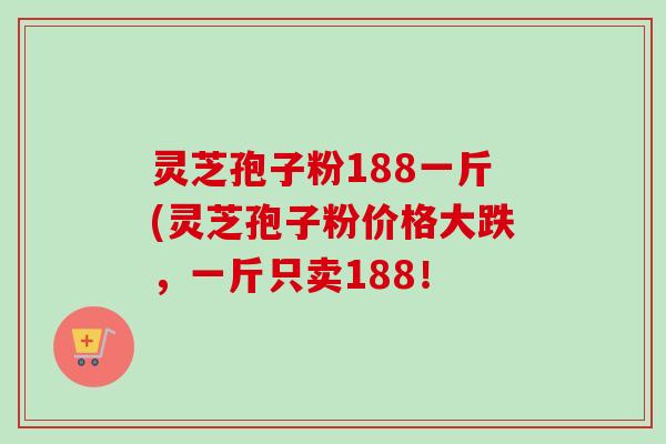 灵芝孢子粉188一斤(灵芝孢子粉价格大跌,一斤只卖188!-第1张图片-卓越灵芝孢子粉 灵芝孢子粉188一斤(灵芝孢子粉价格大跌,一斤只卖188!-第1张图片-卓越灵芝孢子粉