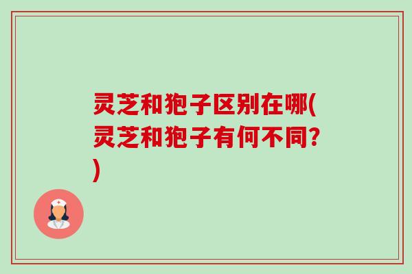 灵芝和狍子区别在哪(灵芝和狍子有何不同?)-第1张图片-卓越灵芝孢子粉 灵芝和狍子区别在哪(灵芝和狍子有何不同?)-第1张图片-卓越灵芝孢子粉