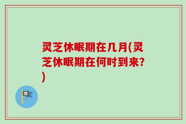 灵芝休眠期在几月(灵芝休眠期在何时到来?)-第1张图片-卓越灵芝孢子粉 灵芝休眠期在几月(灵芝休眠期在何时到来?)-第1张图片-卓越灵芝孢子粉