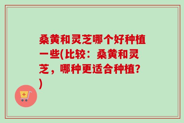 桑黄和灵芝哪个好种植一些(比较：桑黄和灵芝，哪种更适合种植？)-第1张图片-卓越灵芝孢子粉