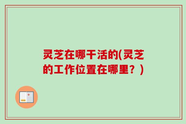 灵芝在哪干活的(灵芝的工作位置在哪里?)-第1张图片-卓越灵芝孢子粉 灵芝在哪干活的(灵芝的工作位置在哪里?)-第1张图片-卓越灵芝孢子粉