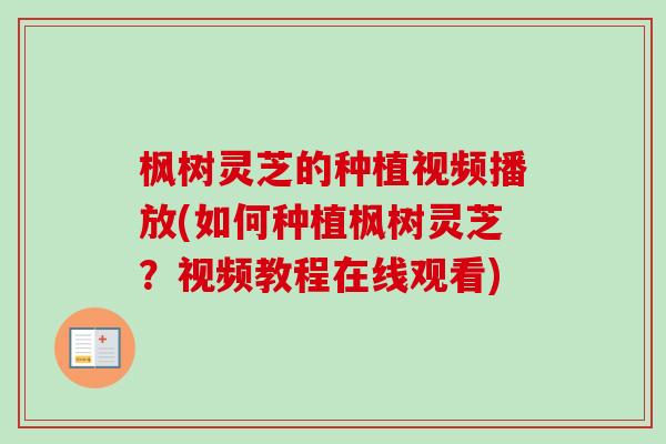 枫树灵芝的种植视频播放(如何种植枫树灵芝?视频教程在线观看)-第1张图片-卓越灵芝孢子粉 枫树灵芝的种植视频播放(如何种植枫树灵芝?视频教程在线观看)-第1张图片-卓越灵芝孢子粉