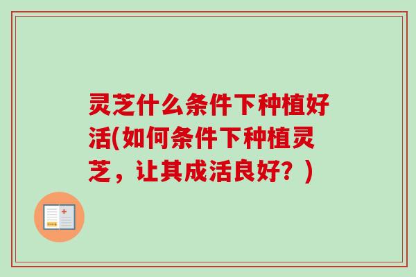 灵芝什么条件下种植好活(如何条件下种植灵芝,让其成活良好?)-第1张图片-卓越灵芝孢子粉 灵芝什么条件下种植好活(如何条件下种植灵芝,让其成活良好?)-第1张图片-卓越灵芝孢子粉