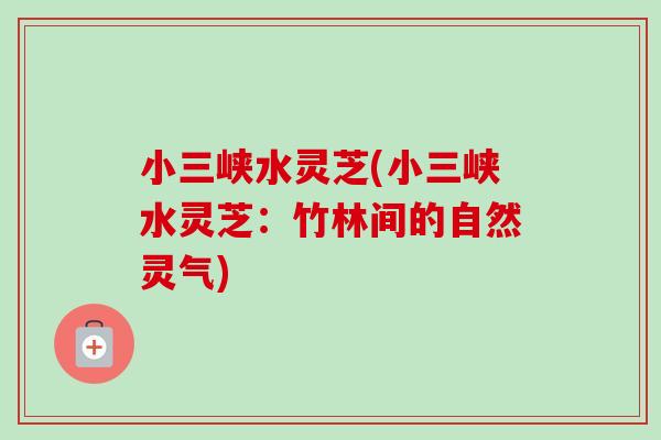 小三峡水灵芝(小三峡水灵芝:竹林间的自然灵气)-第1张图片-卓越灵芝孢子粉 小三峡水灵芝(小三峡水灵芝:竹林间的自然灵气)-第1张图片-卓越灵芝孢子粉