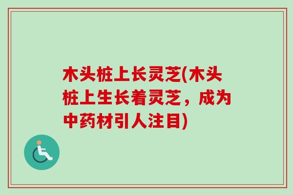 木头桩上长灵芝(木头桩上生长着灵芝,成为中药材引人注目)-第1张图片-卓越灵芝孢子粉 木头桩上长灵芝(木头桩上生长着灵芝,成为中药材引人注目)-第1张图片-卓越灵芝孢子粉