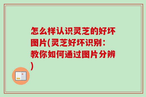 怎么样认识灵芝的好坏图片(灵芝好坏识别:教你如何通过图片分辨)-第1张图片-卓越灵芝孢子粉 怎么样认识灵芝的好坏图片(灵芝好坏识别:教你如何通过图片分辨)-第1张图片-卓越灵芝孢子粉