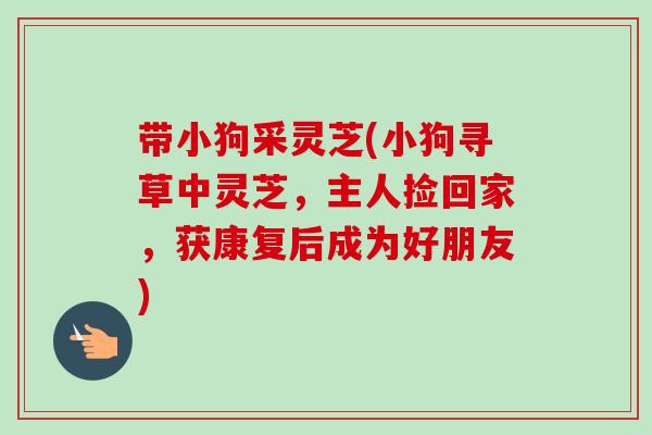 带小狗采灵芝(小狗寻草中灵芝,主人捡回家,获康复后成为好朋友)-第1张图片-卓越灵芝孢子粉 带小狗采灵芝(小狗寻草中灵芝,主人捡回家,获康复后成为好朋友)-第1张图片-卓越灵芝孢子粉
