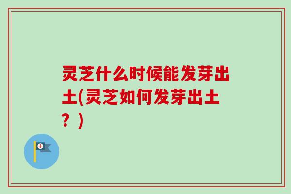 灵芝什么时候能发芽出土(灵芝如何发芽出土?)-第1张图片-卓越灵芝孢子粉 灵芝什么时候能发芽出土(灵芝如何发芽出土?)-第1张图片-卓越灵芝孢子粉