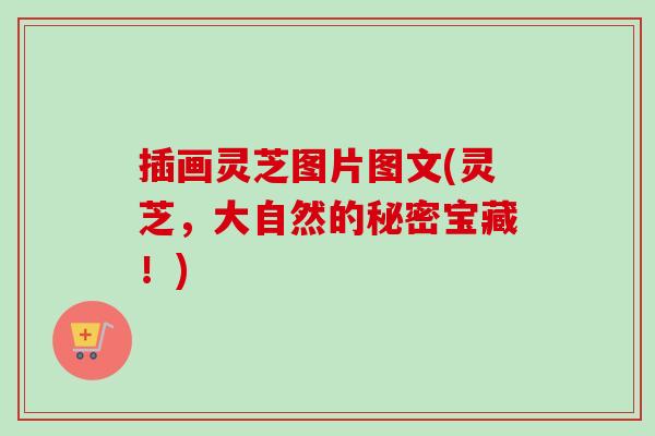 插画灵芝图片图文(灵芝，大自然的秘密宝藏！)-第1张图片-卓越灵芝孢子粉