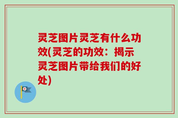 灵芝图片灵芝有什么功效(灵芝的功效:揭示灵芝图片带给我们的好处)-第1张图片-卓越灵芝孢子粉 灵芝图片灵芝有什么功效(灵芝的功效:揭示灵芝图片带给我们的好处)-第1张图片-卓越灵芝孢子粉