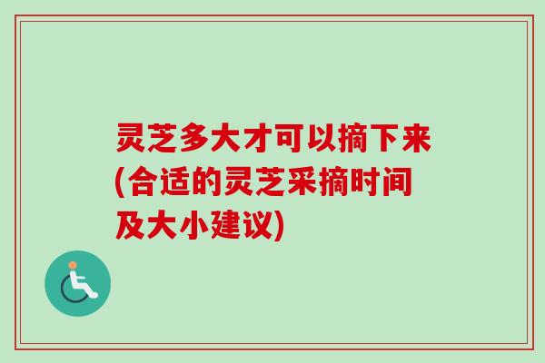灵芝多大才可以摘下来(合适的灵芝采摘时间及大小建议)-第1张图片-卓越灵芝孢子粉 灵芝多大才可以摘下来(合适的灵芝采摘时间及大小建议)-第1张图片-卓越灵芝孢子粉