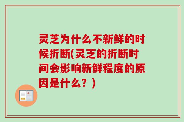 灵芝为什么不新鲜的时候折断(灵芝的折断时间会影响新鲜程度的原因是什么?)-第1张图片-卓越灵芝孢子粉 灵芝为什么不新鲜的时候折断(灵芝的折断时间会影响新鲜程度的原因是什么?)-第1张图片-卓越灵芝孢子粉