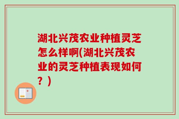 湖北兴茂农业种植灵芝怎么样啊(湖北兴茂农业的灵芝种植表现如何?)-第1张图片-卓越灵芝孢子粉 湖北兴茂农业种植灵芝怎么样啊(湖北兴茂农业的灵芝种植表现如何?)-第1张图片-卓越灵芝孢子粉