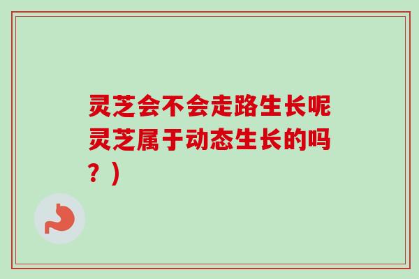 灵芝会不会走路生长呢灵芝属于动态生长的吗?)-第1张图片-卓越灵芝孢子粉 灵芝会不会走路生长呢灵芝属于动态生长的吗?)-第1张图片-卓越灵芝孢子粉