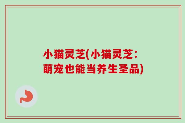 小猫灵芝(小猫灵芝:萌宠也能当养生圣品)-第1张图片-卓越灵芝孢子粉 小猫灵芝(小猫灵芝:萌宠也能当养生圣品)-第1张图片-卓越灵芝孢子粉