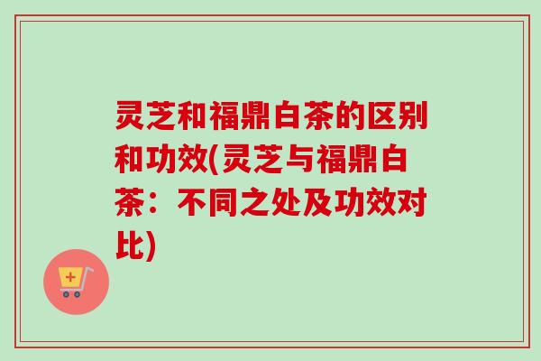 灵芝和福鼎白茶的区别和功效(灵芝与福鼎白茶：不同之处及功效对比)-第1张图片-卓越灵芝孢子粉