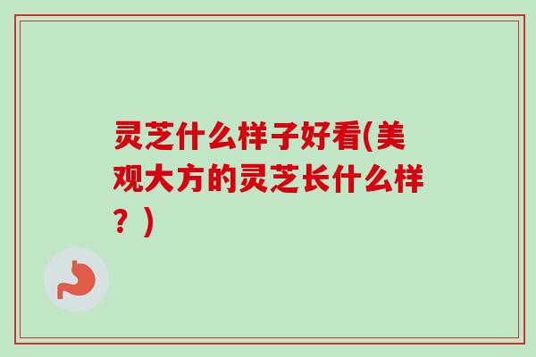 灵芝什么样子好看(美观大方的灵芝长什么样？)-第1张图片-卓越灵芝孢子粉