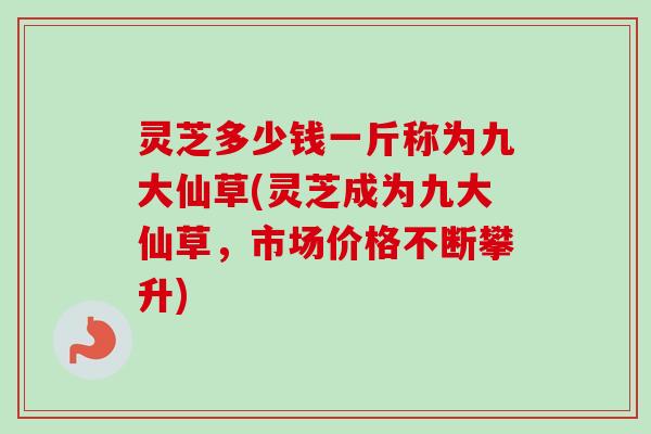 灵芝多少钱一斤称为九大仙草(灵芝成为九大仙草，市场价格不断攀升)-第1张图片-卓越灵芝孢子粉