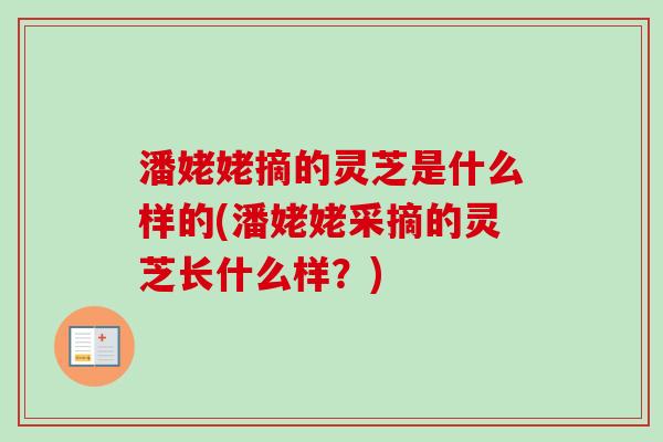 潘姥姥摘的灵芝是什么样的(潘姥姥采摘的灵芝长什么样?)-第1张图片-卓越灵芝孢子粉 潘姥姥摘的灵芝是什么样的(潘姥姥采摘的灵芝长什么样?)-第1张图片-卓越灵芝孢子粉