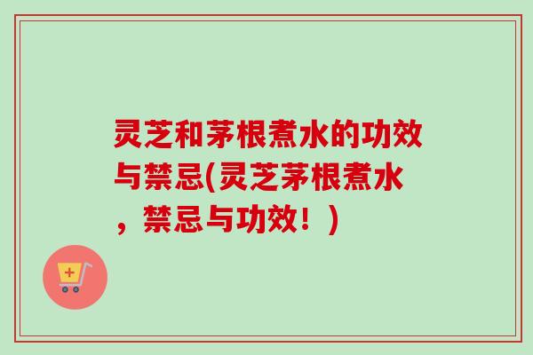灵芝和茅根煮水的功效与禁忌(灵芝茅根煮水，禁忌与功效！)-第1张图片-卓越灵芝孢子粉
