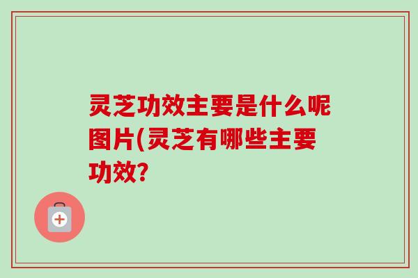 灵芝功效主要是什么呢图片(灵芝有哪些主要功效？-第1张图片-卓越灵芝孢子粉