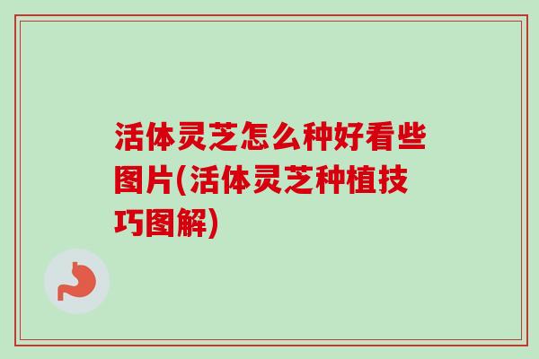 活体灵芝怎么种好看些图片(活体灵芝种植技巧图解)-第1张图片-卓越灵芝孢子粉 活体灵芝怎么种好看些图片(活体灵芝种植技巧图解)-第1张图片-卓越灵芝孢子粉