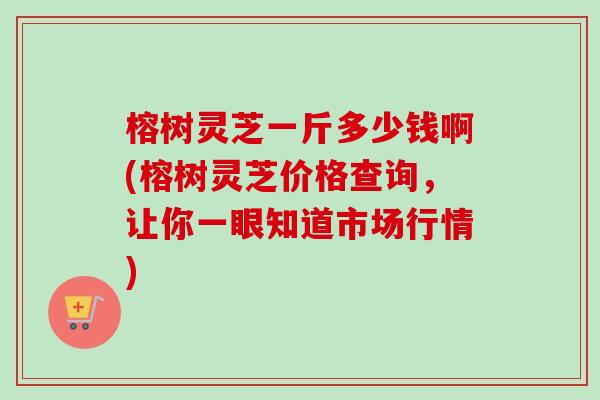 榕树灵芝一斤多少钱啊(榕树灵芝价格查询，让你一眼知道市场行情)-第1张图片-卓越灵芝孢子粉
