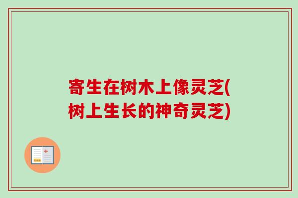 寄生在树木上像灵芝(树上生长的神奇灵芝)-第1张图片-卓越灵芝孢子粉 寄生在树木上像灵芝(树上生长的神奇灵芝)-第1张图片-卓越灵芝孢子粉