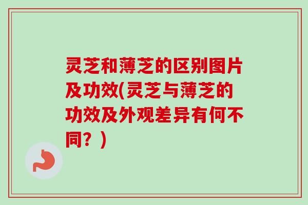 灵芝和薄芝的区别图片及功效(灵芝与薄芝的功效及外观差异有何不同?)-第1张图片-卓越灵芝孢子粉 灵芝和薄芝的区别图片及功效(灵芝与薄芝的功效及外观差异有何不同?)-第1张图片-卓越灵芝孢子粉