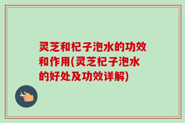 灵芝和杞子泡水的功效和作用(灵芝杞子泡水的好处及功效详解)-第1张图片-卓越灵芝孢子粉 灵芝和杞子泡水的功效和作用(灵芝杞子泡水的好处及功效详解)-第1张图片-卓越灵芝孢子粉