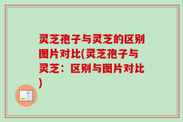 灵芝孢子与灵芝的区别图片对比(灵芝孢子与灵芝:区别与图片对比)-第1张图片-卓越灵芝孢子粉 灵芝孢子与灵芝的区别图片对比(灵芝孢子与灵芝:区别与图片对比)-第1张图片-卓越灵芝孢子粉