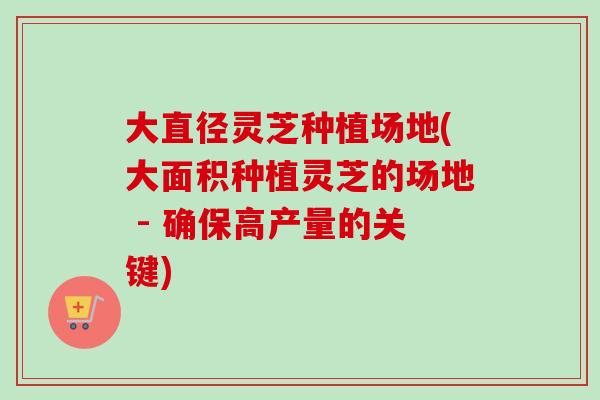 大直径灵芝种植场地(大面积种植灵芝的场地 - 确保高产量的关键)-第1张图片-卓越灵芝孢子粉 大直径灵芝种植场地(大面积种植灵芝的场地 - 确保高产量的关键)-第1张图片-卓越灵芝孢子粉