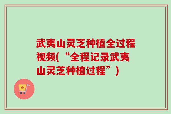 武夷山灵芝种植全过程视频(“全程记录武夷山灵芝种植过程”)-第1张图片-卓越灵芝孢子粉