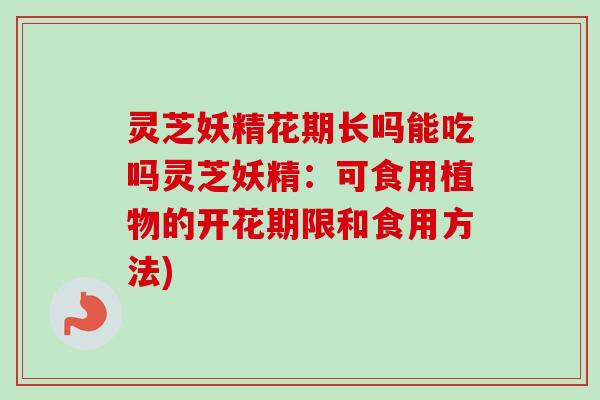 灵芝妖精花期长吗能吃吗灵芝妖精:可食用植物的开花期限和食用方法)-第1张图片-卓越灵芝孢子粉 灵芝妖精花期长吗能吃吗灵芝妖精:可食用植物的开花期限和食用方法)-第1张图片-卓越灵芝孢子粉