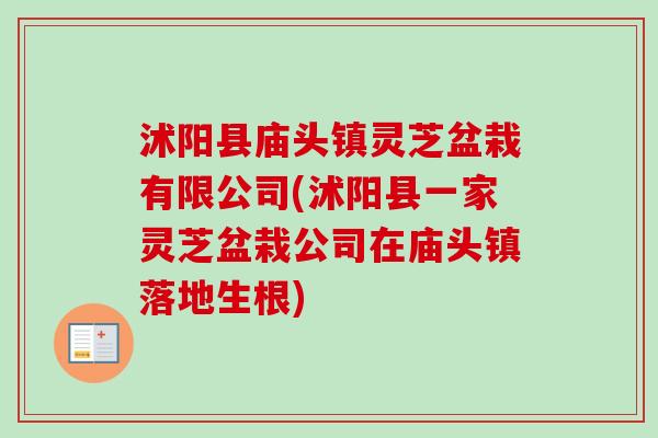 沭阳县庙头镇灵芝盆栽有限公司(沭阳县一家灵芝盆栽公司在庙头镇落地生根)-第1张图片-卓越灵芝孢子粉 沭阳县庙头镇灵芝盆栽有限公司(沭阳县一家灵芝盆栽公司在庙头镇落地生根)-第1张图片-卓越灵芝孢子粉