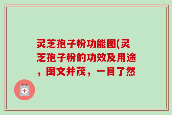 灵芝孢子粉功能图(灵芝孢子粉的功效及用途,图文并茂,一目了然-第1张图片-卓越灵芝孢子粉 灵芝孢子粉功能图(灵芝孢子粉的功效及用途,图文并茂,一目了然-第1张图片-卓越灵芝孢子粉
