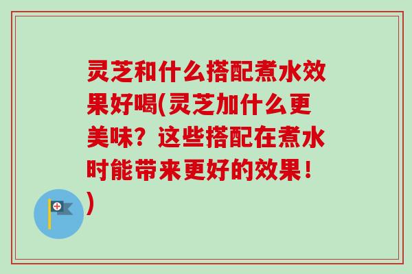 灵芝和什么搭配煮水效果好喝(灵芝加什么更美味?这些搭配在煮水时能带来更好的效果!)-第1张图片-卓越灵芝孢子粉 灵芝和什么搭配煮水效果好喝(灵芝加什么更美味?这些搭配在煮水时能带来更好的效果!)-第1张图片-卓越灵芝孢子粉
