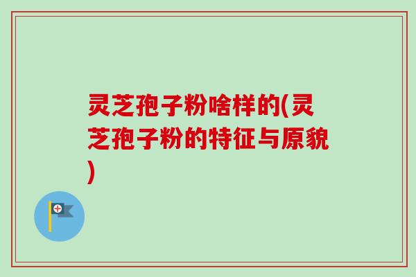 灵芝孢子粉啥样的(灵芝孢子粉的特征与原貌)-第1张图片-卓越灵芝孢子粉 灵芝孢子粉啥样的(灵芝孢子粉的特征与原貌)-第1张图片-卓越灵芝孢子粉