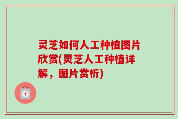 灵芝如何人工种植图片欣赏(灵芝人工种植详解,图片赏析)-第1张图片-卓越灵芝孢子粉 灵芝如何人工种植图片欣赏(灵芝人工种植详解,图片赏析)-第1张图片-卓越灵芝孢子粉