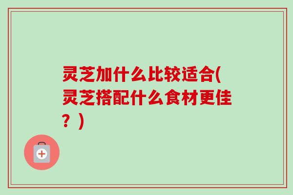 灵芝加什么比较适合(灵芝搭配什么食材更佳?)-第1张图片-卓越灵芝孢子粉 灵芝加什么比较适合(灵芝搭配什么食材更佳?)-第1张图片-卓越灵芝孢子粉