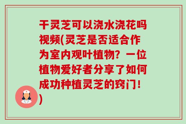 干灵芝可以浇水浇花吗视频(灵芝是否适合作为室内观叶植物?一位植物爱好者分享了如何成功种植灵芝的窍门!)-第1张图片-卓越灵芝孢子粉 干灵芝可以浇水浇花吗视频(灵芝是否适合作为室内观叶植物?一位植物爱好者分享了如何成功种植灵芝的窍门!)-第1张图片-卓越灵芝孢子粉
