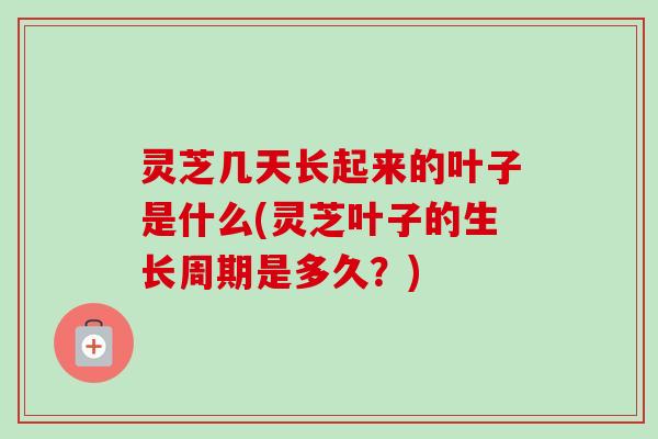 灵芝几天长起来的叶子是什么(灵芝叶子的生长周期是多久?)-第1张图片-卓越灵芝孢子粉 灵芝几天长起来的叶子是什么(灵芝叶子的生长周期是多久?)-第1张图片-卓越灵芝孢子粉